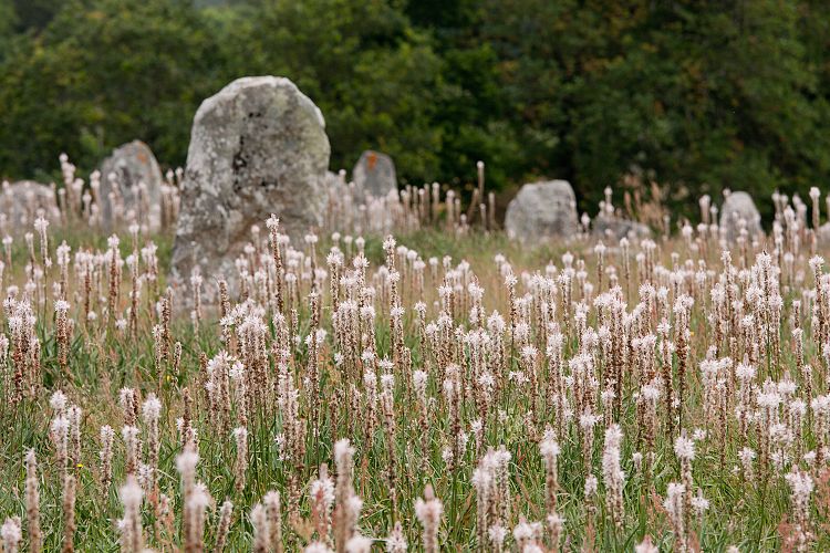Carnac (Frankreich - Carnac)
