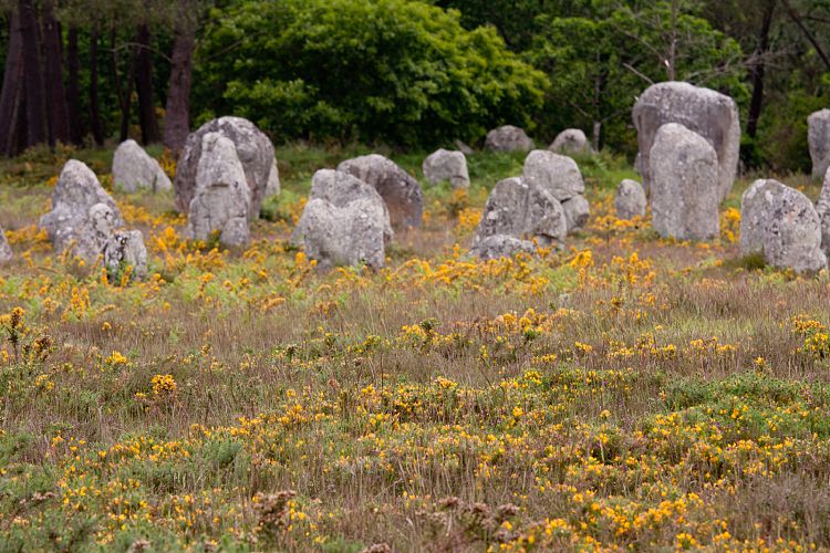 Carnac (Frankreich - Carnac)