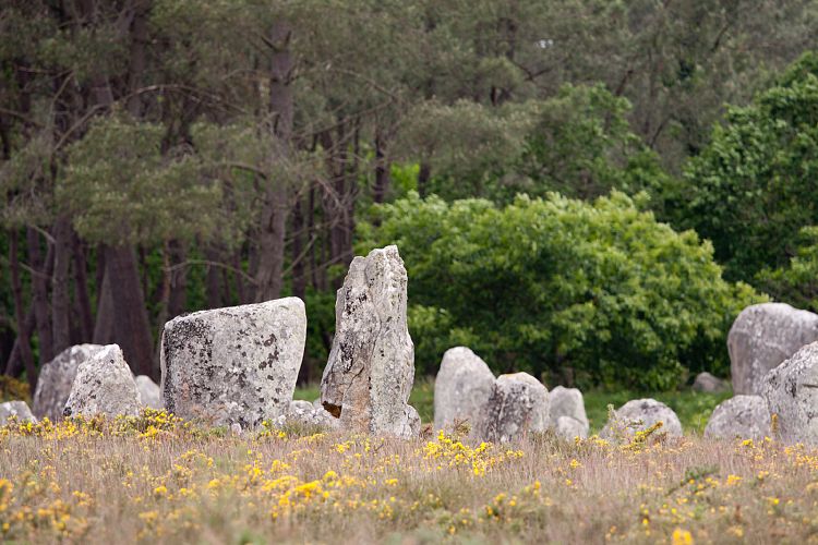 Carnac (Frankreich - Carnac)