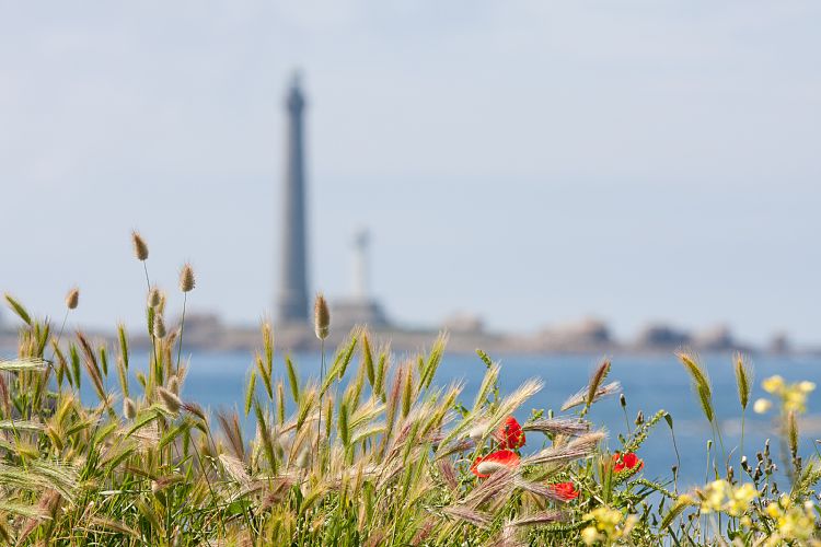 Plouguerneau (Frankreich - Nordwestkste)