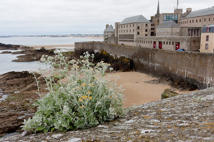 Saint-Malo (Frankreich - Nordkste)