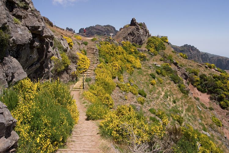 Arieiro - Ruivo (Madeira - Pico do Arieiro)