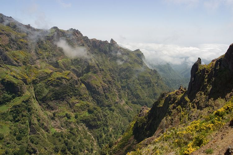 Arieiro - Ruivo (Madeira - Pico do Arieiro)