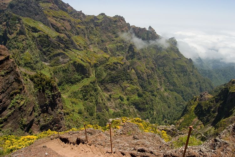 Arieiro - Ruivo (Madeira - Pico do Arieiro)