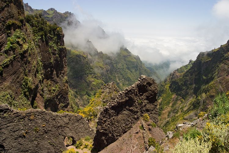 Arieiro - Ruivo (Madeira - Pico do Arieiro)