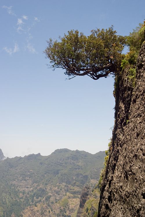 Arieiro - Ruivo (Madeira - Pico do Arieiro)