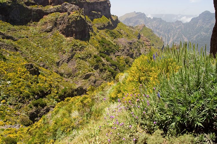 Arieiro - Ruivo (Madeira - Pico do Arieiro)