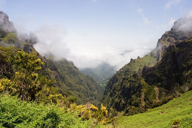 Arieiro - Ruivo (Madeira - Pico do Arieiro)