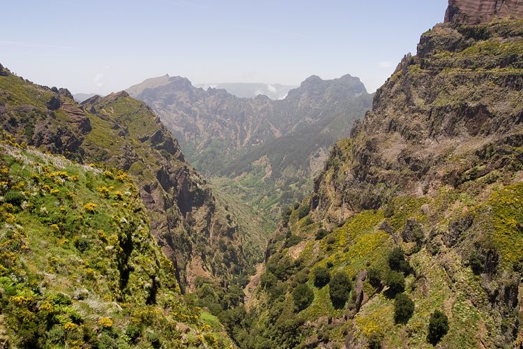 Arieiro - Ruivo (Madeira - Pico do Arieiro)