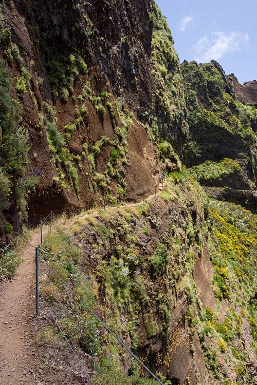 Arieiro - Ruivo (Madeira - Pico do Arieiro)
