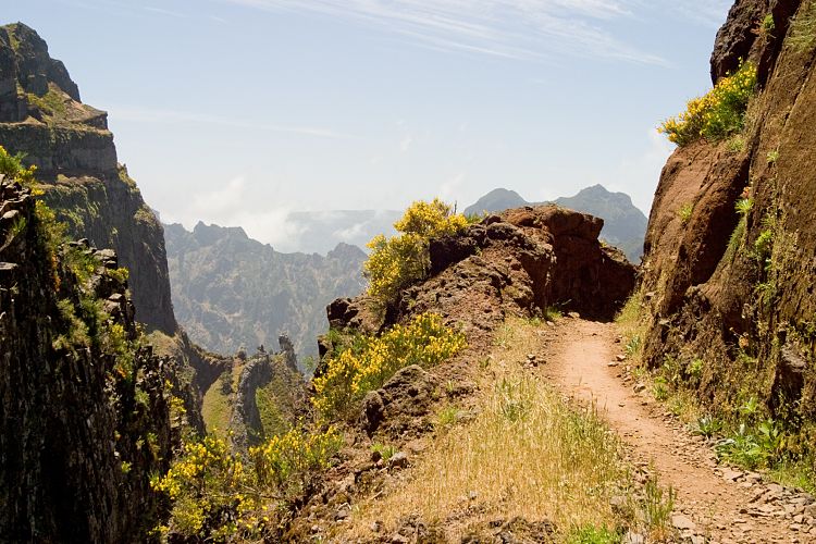 Arieiro - Ruivo (Madeira - Pico do Arieiro)