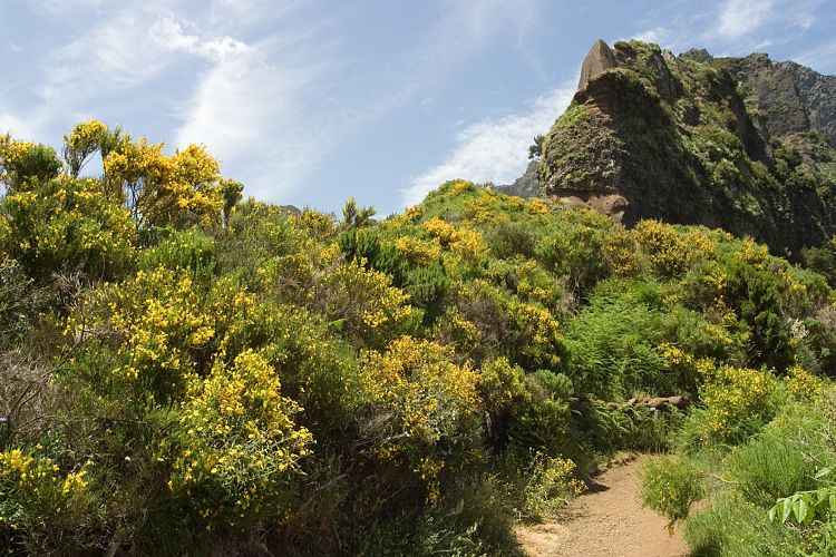 Arieiro - Ruivo (Madeira - Pico do Arieiro)