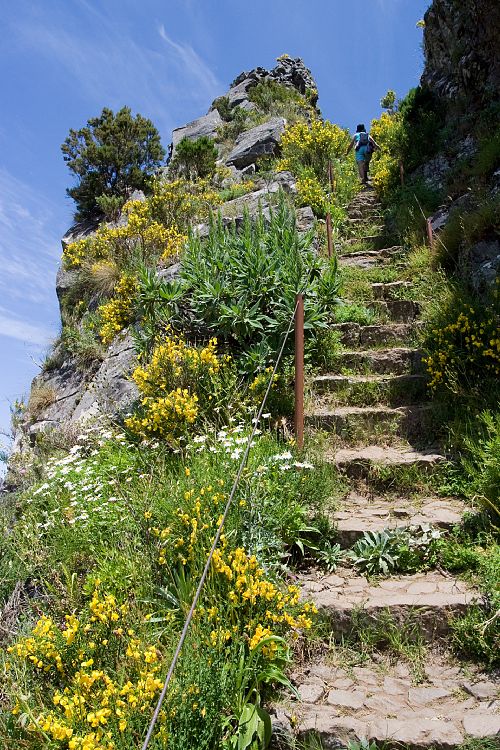 Arieiro - Ruivo (Madeira - Pico do Arieiro)