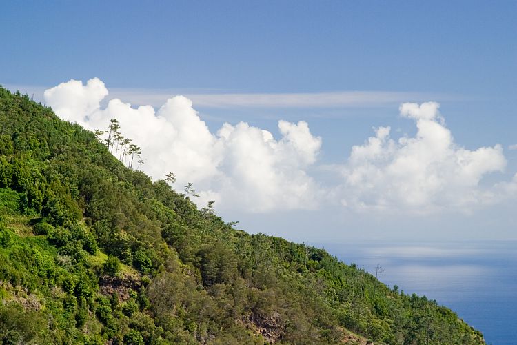 Bei Faial - Adlerfelsen (Madeira - Pico Ruivo)