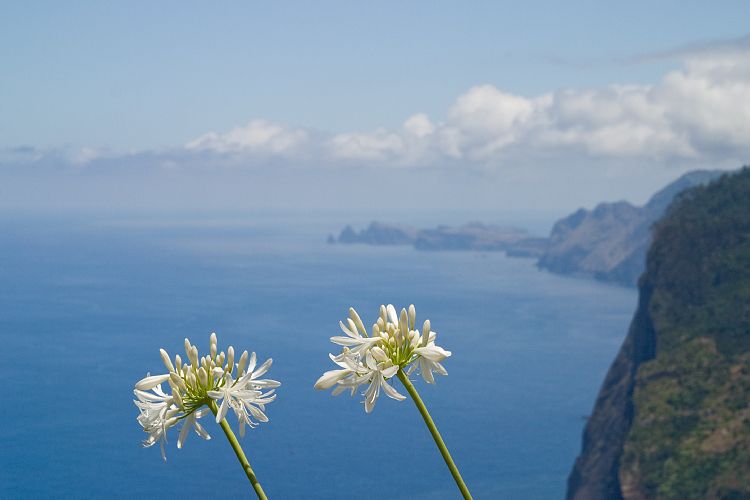 Bei Faial - Adlerfelsen (Madeira - Pico Ruivo)