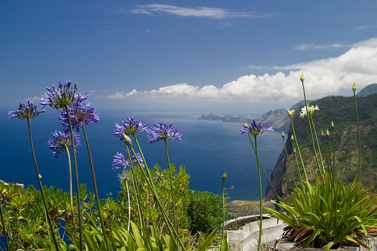 Bei Faial - Adlerfelsen (Madeira - Pico Ruivo)