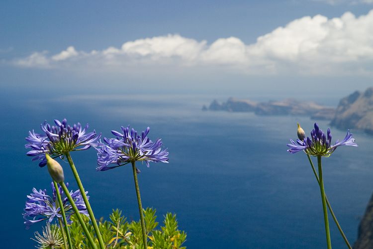Bei Faial - Adlerfelsen (Madeira - Pico Ruivo)