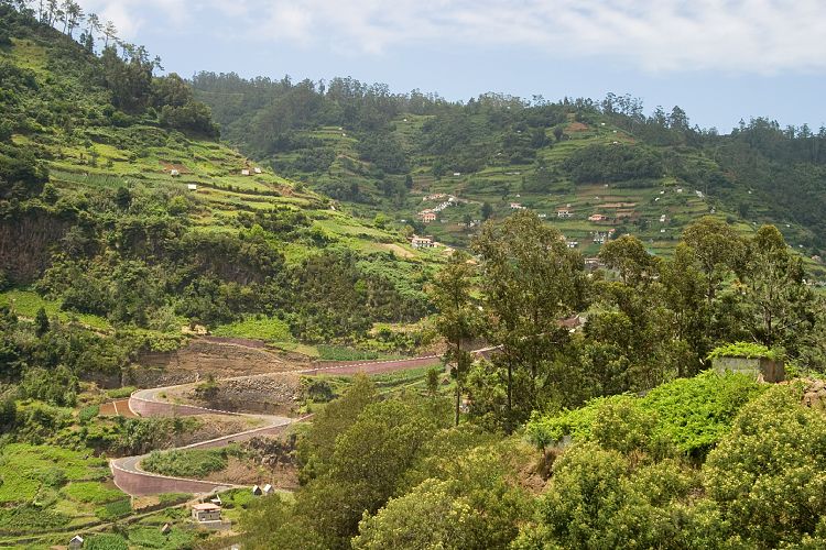 Bei Ribeiro Frio (Madeira - Pico Ruivo)