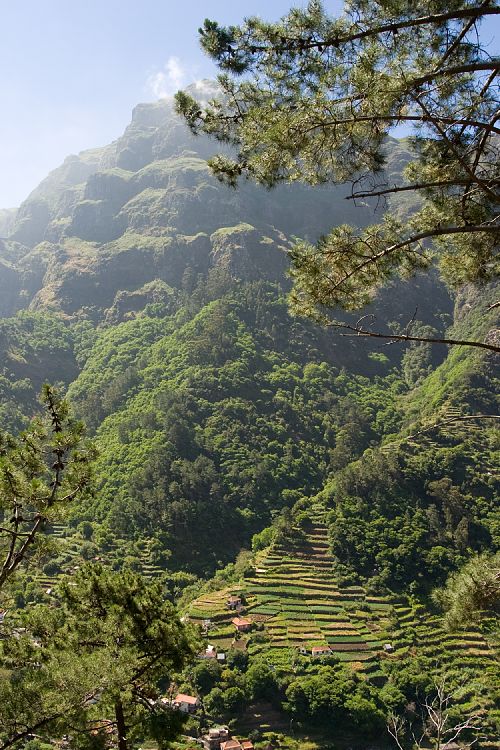 Bei Serra de Agua (Madeira - Rabacal)