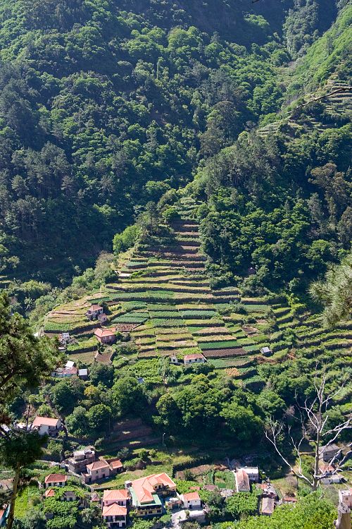Bei Serra de Agua (Madeira - Rabacal)