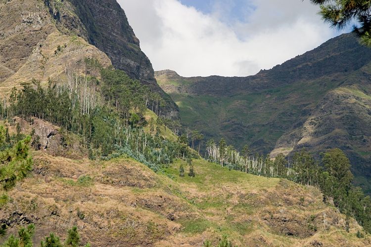 Bei Serra de Agua (Madeira - Paul da Serra)