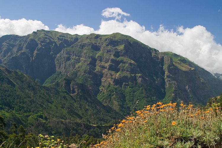 Bei Serra de Agua (Madeira - Paul da Serra)