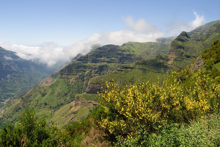 Beim Pedras (Madeira - Rabacal)