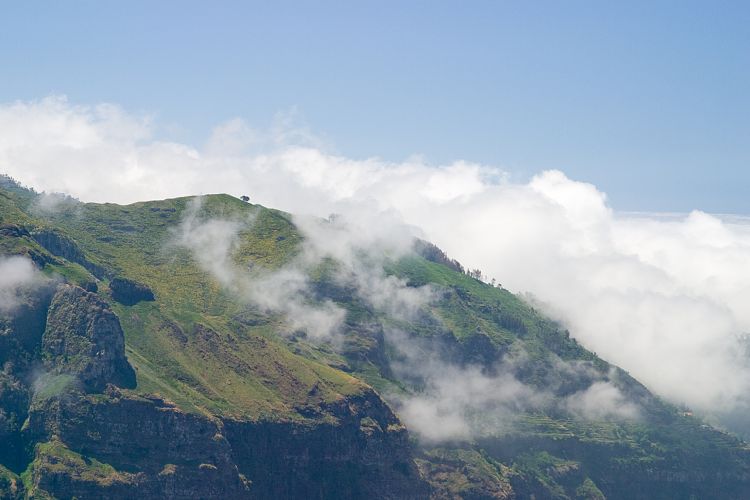 Beim Pedras (Madeira - Rabacal)