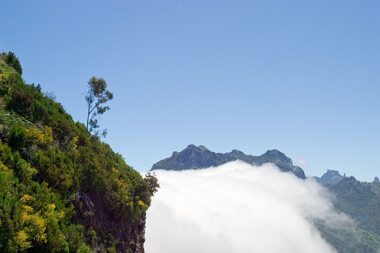 Beim Pedras (Madeira - Rabacal)