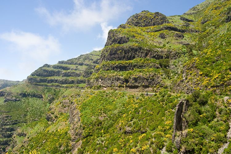 Beim Pedras (Madeira - Rabacal)