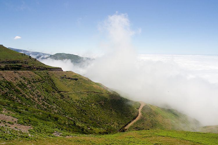 Beim Pedras (Madeira - Rabacal)