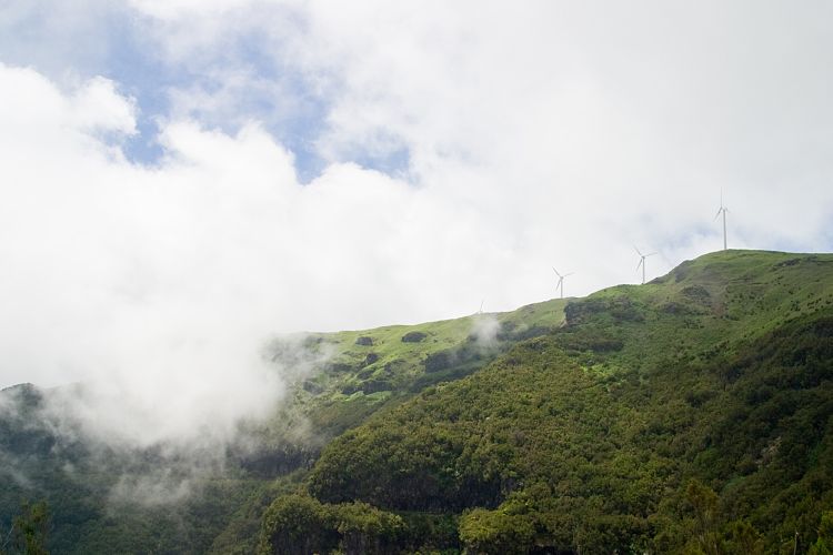 Bica da Cana (Madeira - Paul da Serra)