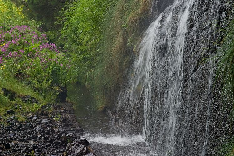 Bica da Cana (Madeira - Paul da Serra)