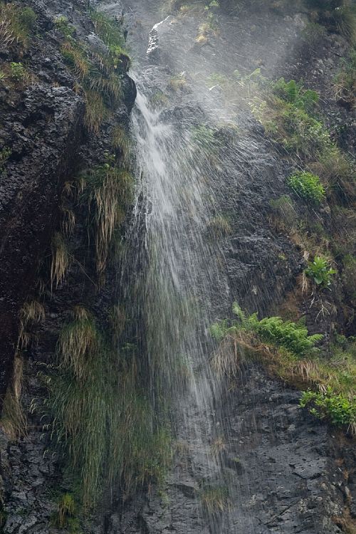 Bica da Cana (Madeira - Paul da Serra)