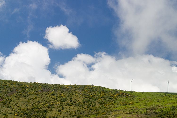 Bica da Cana (Madeira - Paul da Serra)