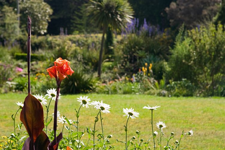 Blandy's Garden (Palheiro Gardens) (Madeira - Bei Funchal)