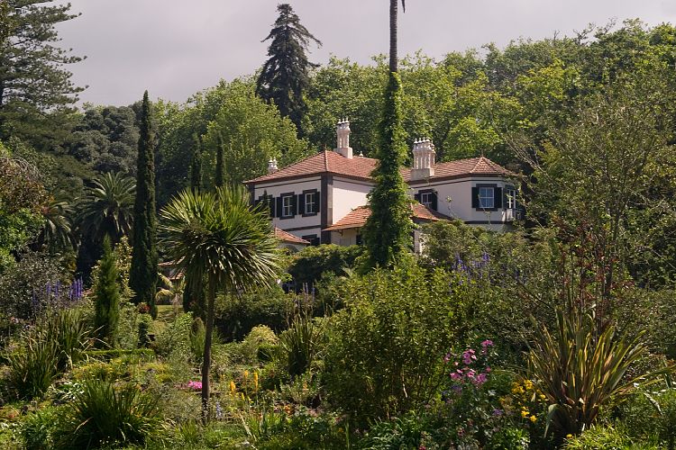 Blandy's Garden (Palheiro Gardens) (Madeira - Bei Funchal)