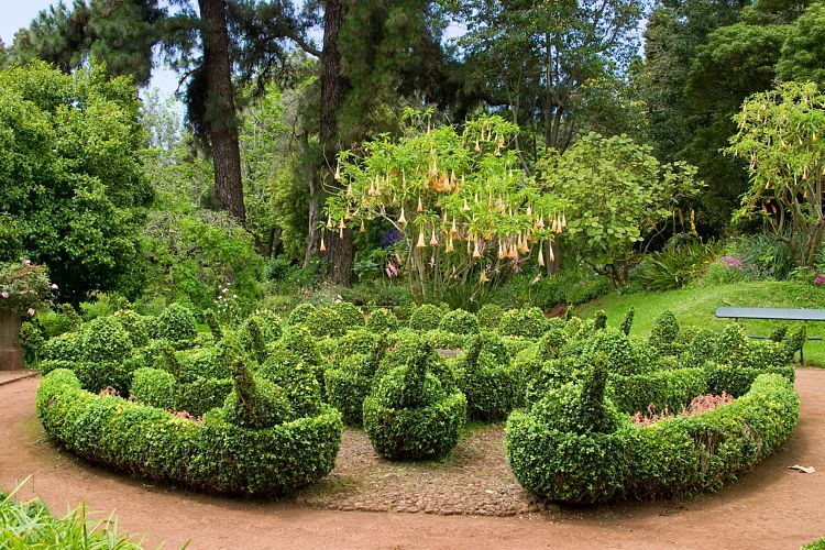 Blandy's Garden (Palheiro Gardens) (Madeira - Bei Funchal)
