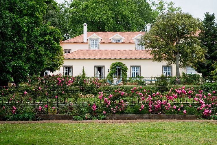 Blandy's Garden (Palheiro Gardens) (Madeira - Bei Funchal)