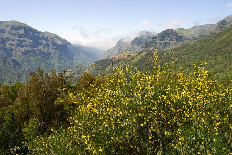 Boca da Encumeada (Madeira - Rabacal)