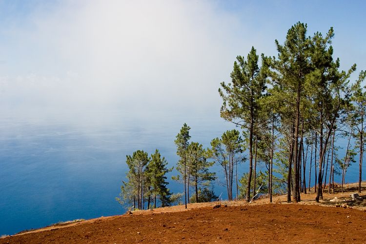 Cabo Girao (Madeira - Cabo Girao)