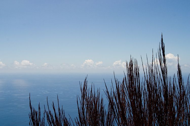 Cabo Girao (Madeira - Cabo Girao)