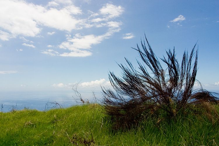 Cabo Girao (Madeira - Cabo Girao)