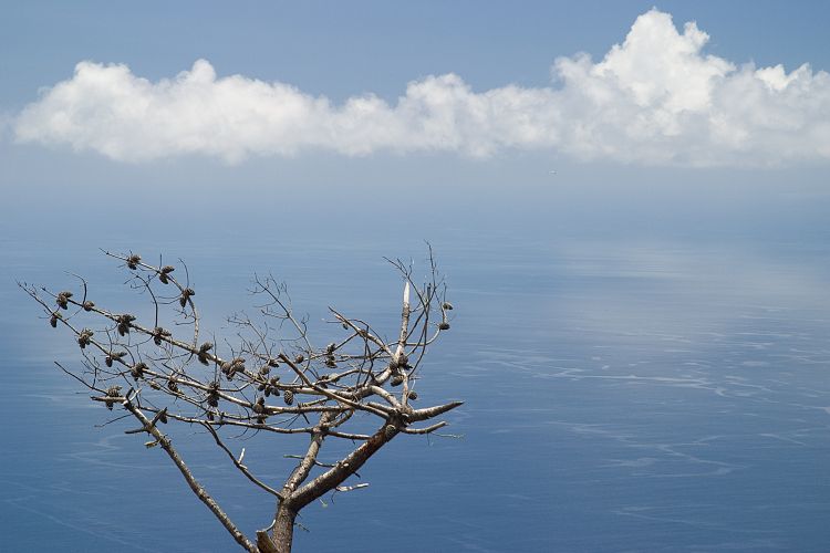Cabo Girao (Madeira - Cabo Girao)