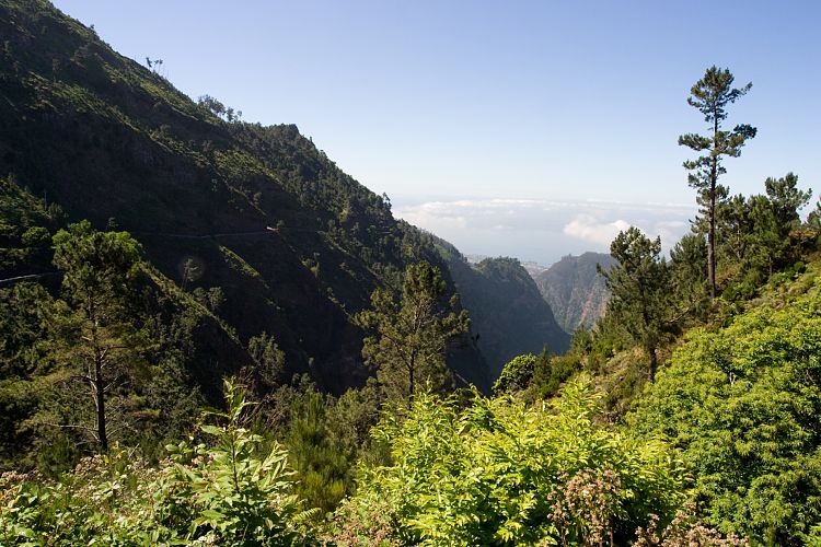 Eira do Serrado (Madeira - Curral das Freiras)