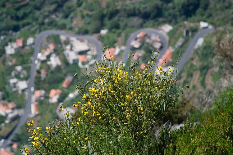 Eira do Serrado (Madeira - Curral das Freiras)