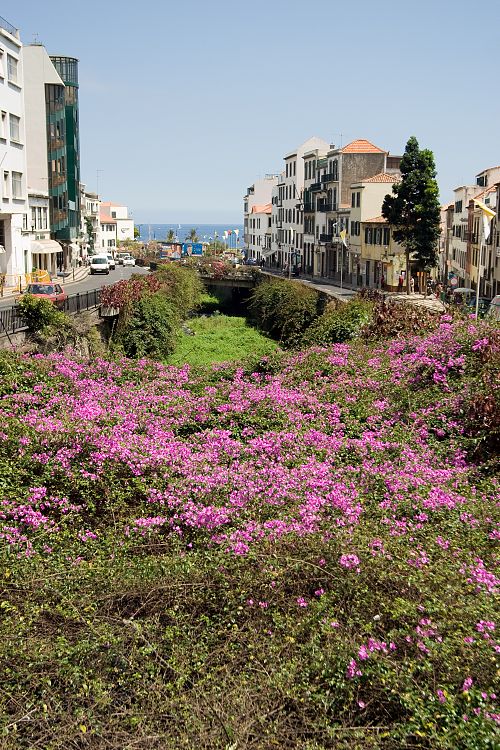 Funchal (Madeira - Funchal)