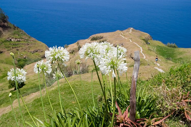 Nostra Senhora da Boa Morte (Madeira - Westkste)