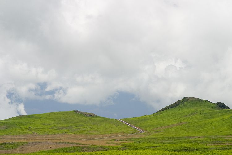 Paul da Serra (Madeira - Paul da Serra)