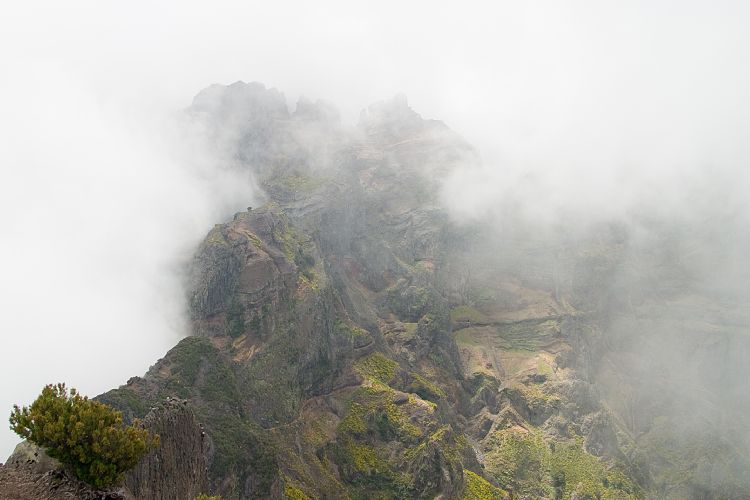 Pico Ruivo (Madeira - Pico Ruivo)